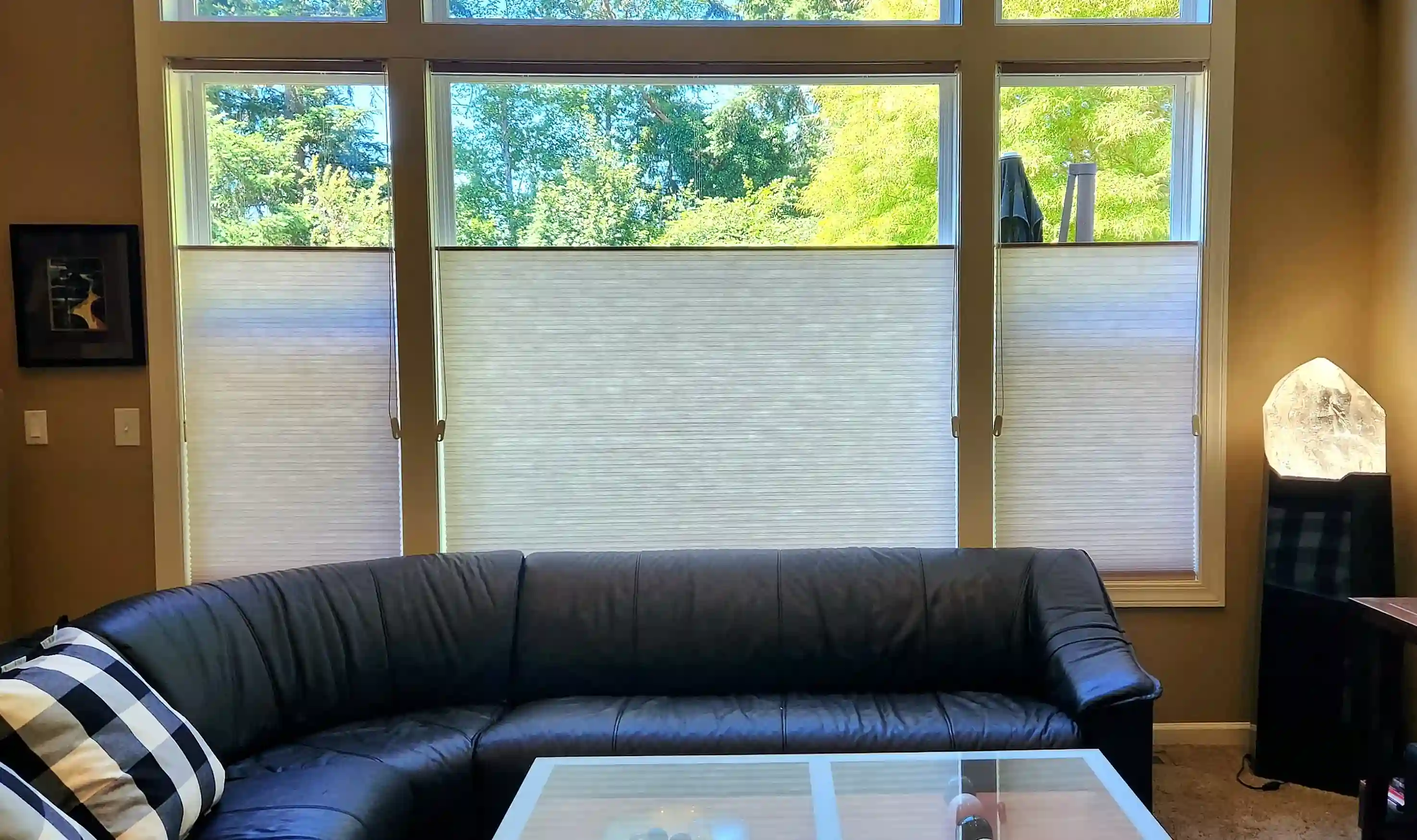 Custom window treatment project
